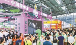 茶博盛会 蜜香鹏城紫金蝉茶：打造茶桌上的“中国名片”